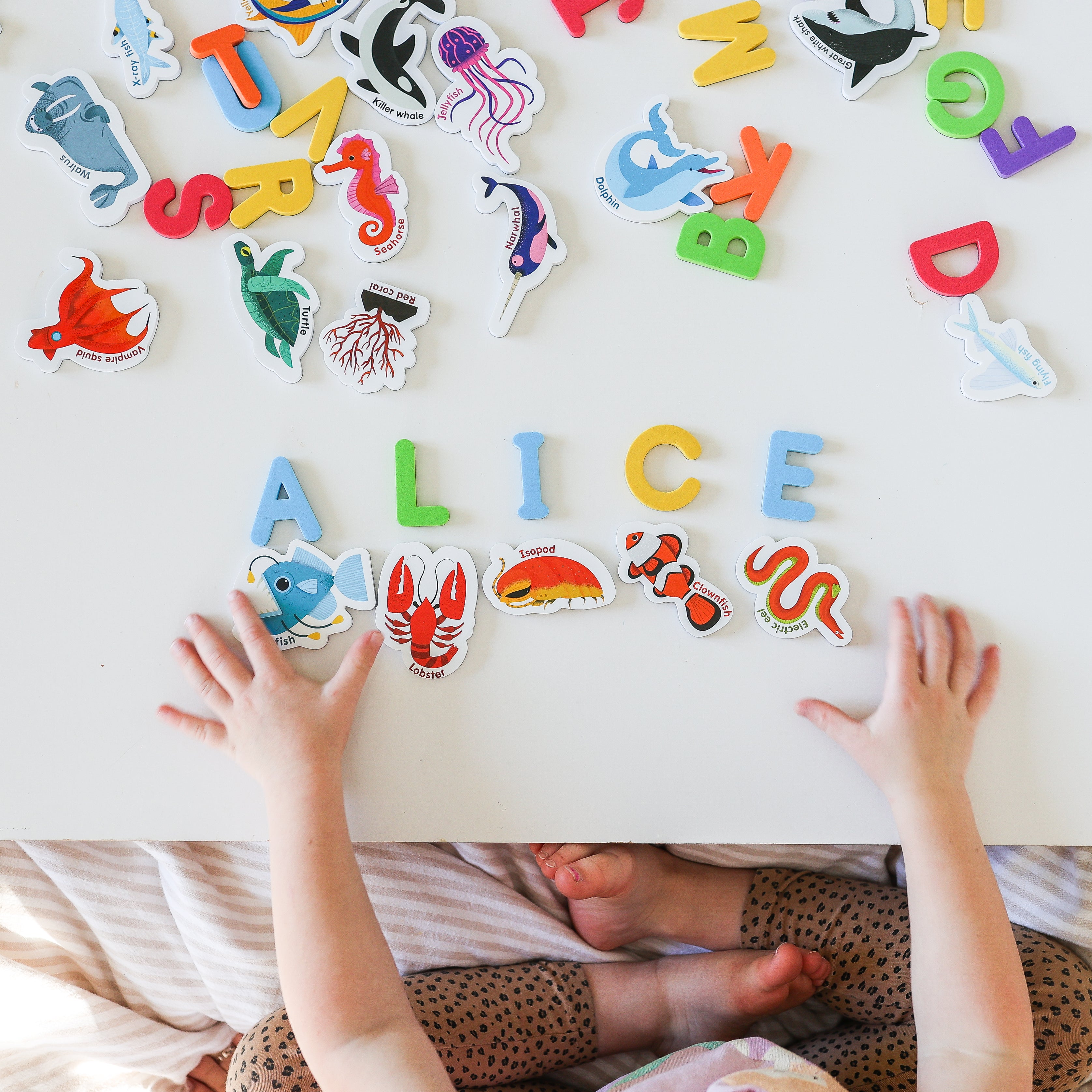 Curious Columbus Magnetic Sea Creatures and Letters – 52 Piece Alphabet & Ocean Magnet Set