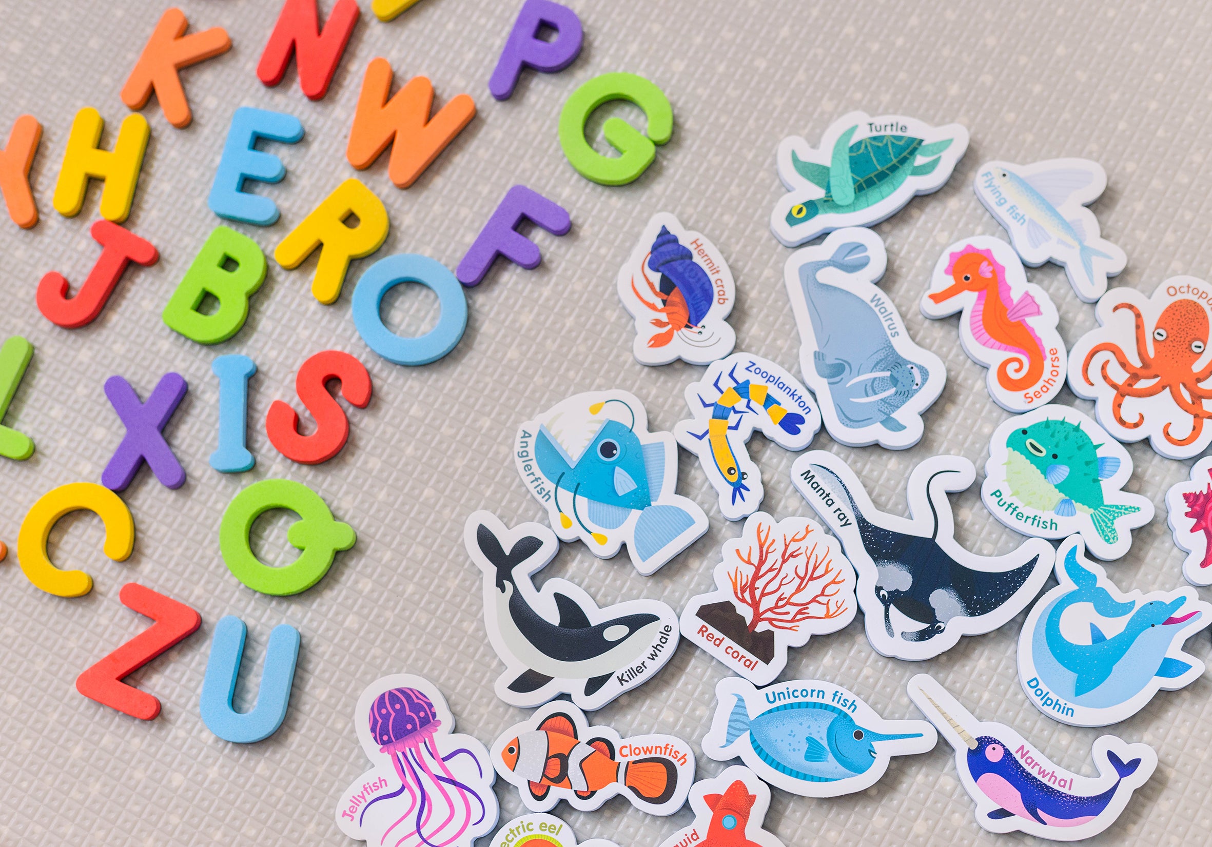 Curious Columbus Magnetic Sea Creatures and Letters – 52 Piece Alphabet &amp; Ocean Magnet Set