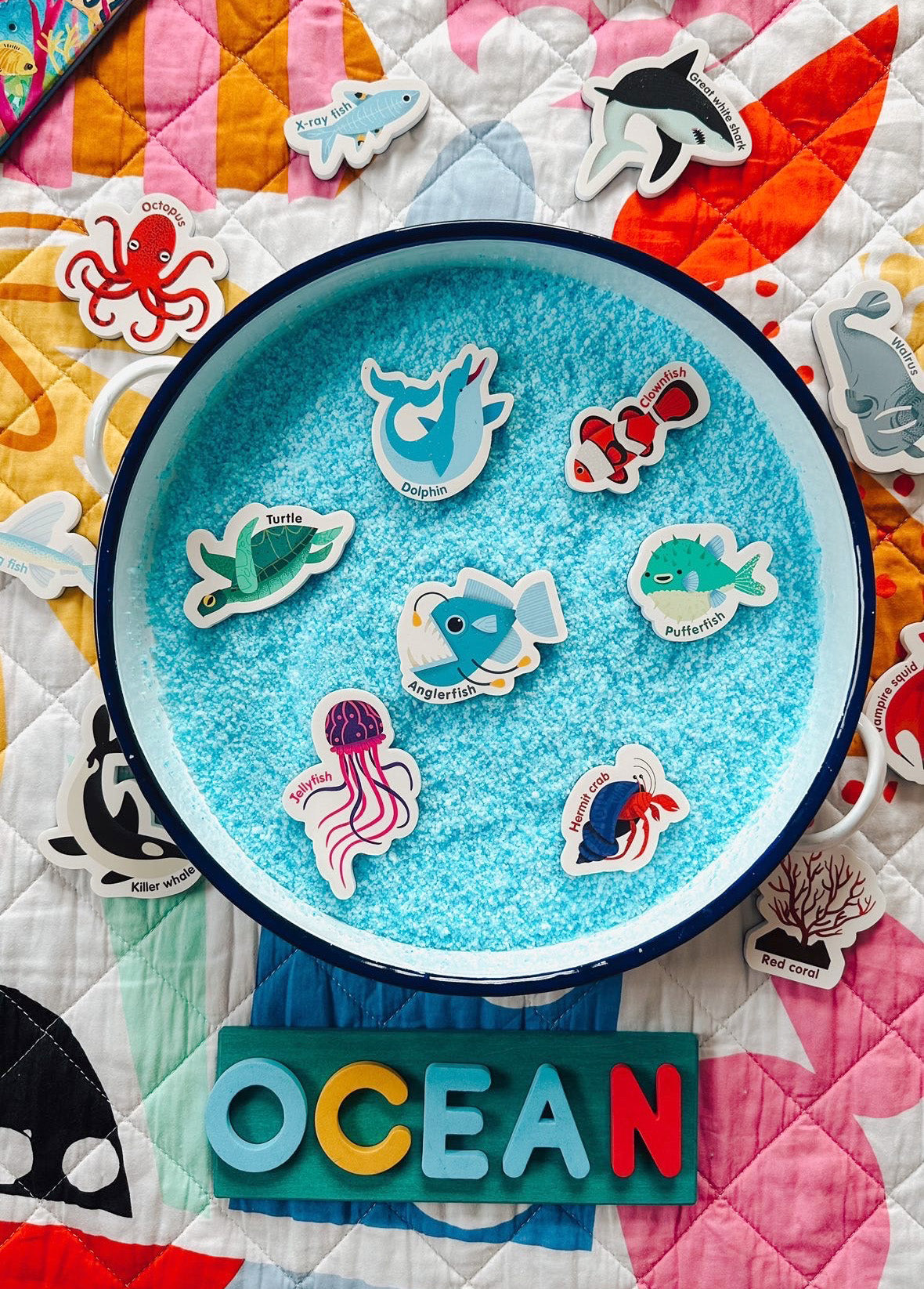 Curious Columbus Magnetic Sea Creatures and Letters – 52 Piece Alphabet &amp; Ocean Magnet Set