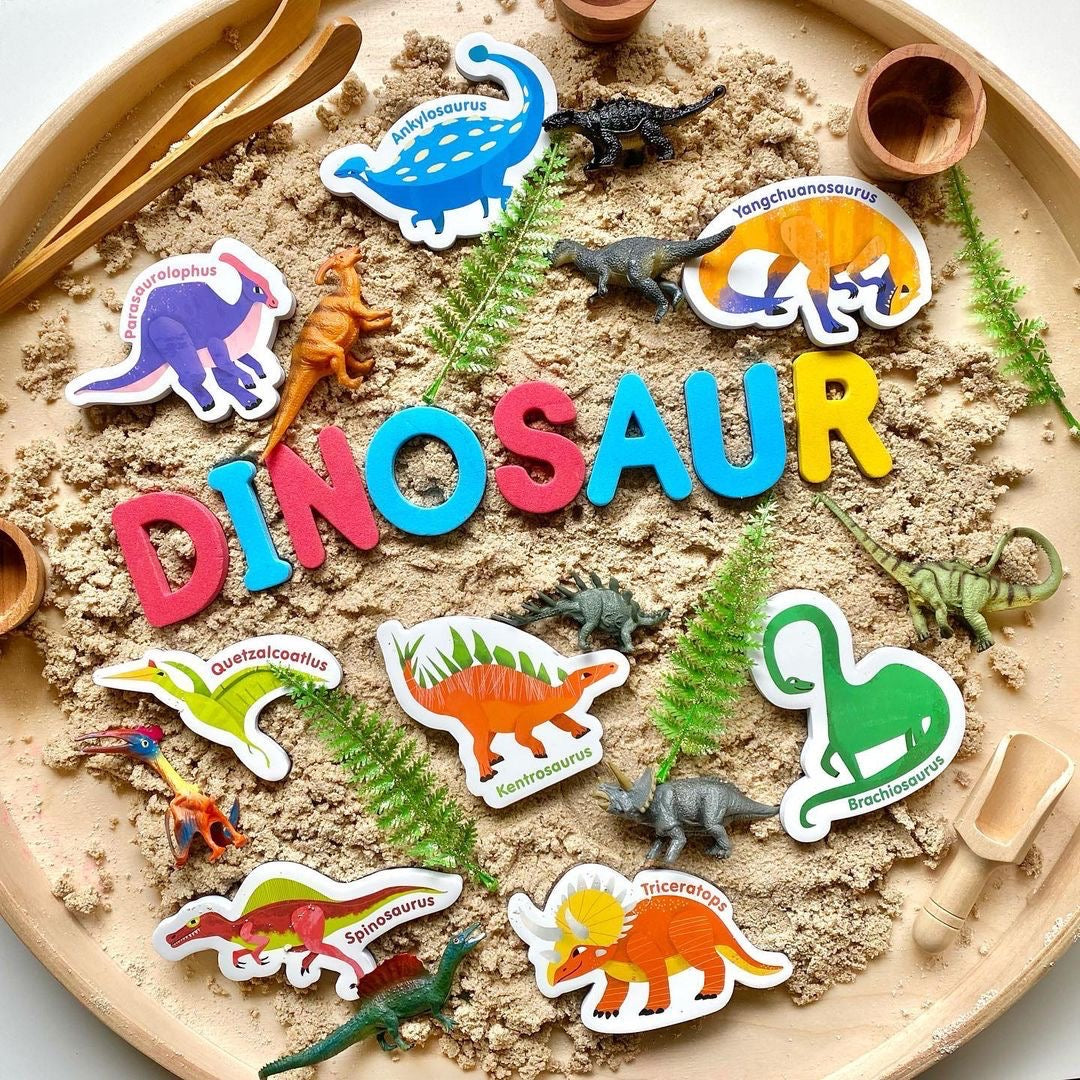 Curious Columbus Magnetic Dinoaurs – 48 Piece Magnetic Play Set