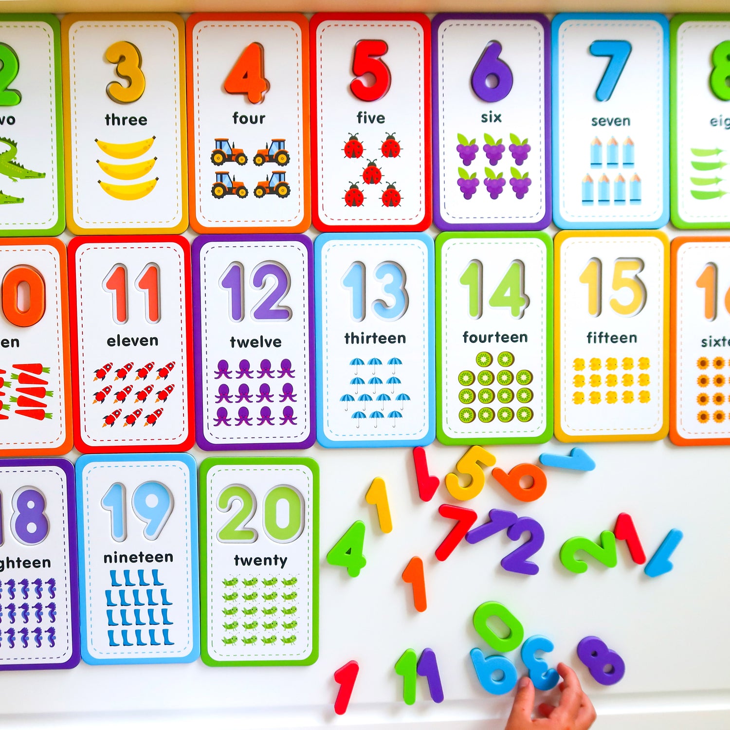 Curious Columbus Flashcards &amp; 123 Magnetic Numbers – Counting &amp; Number Learning Set