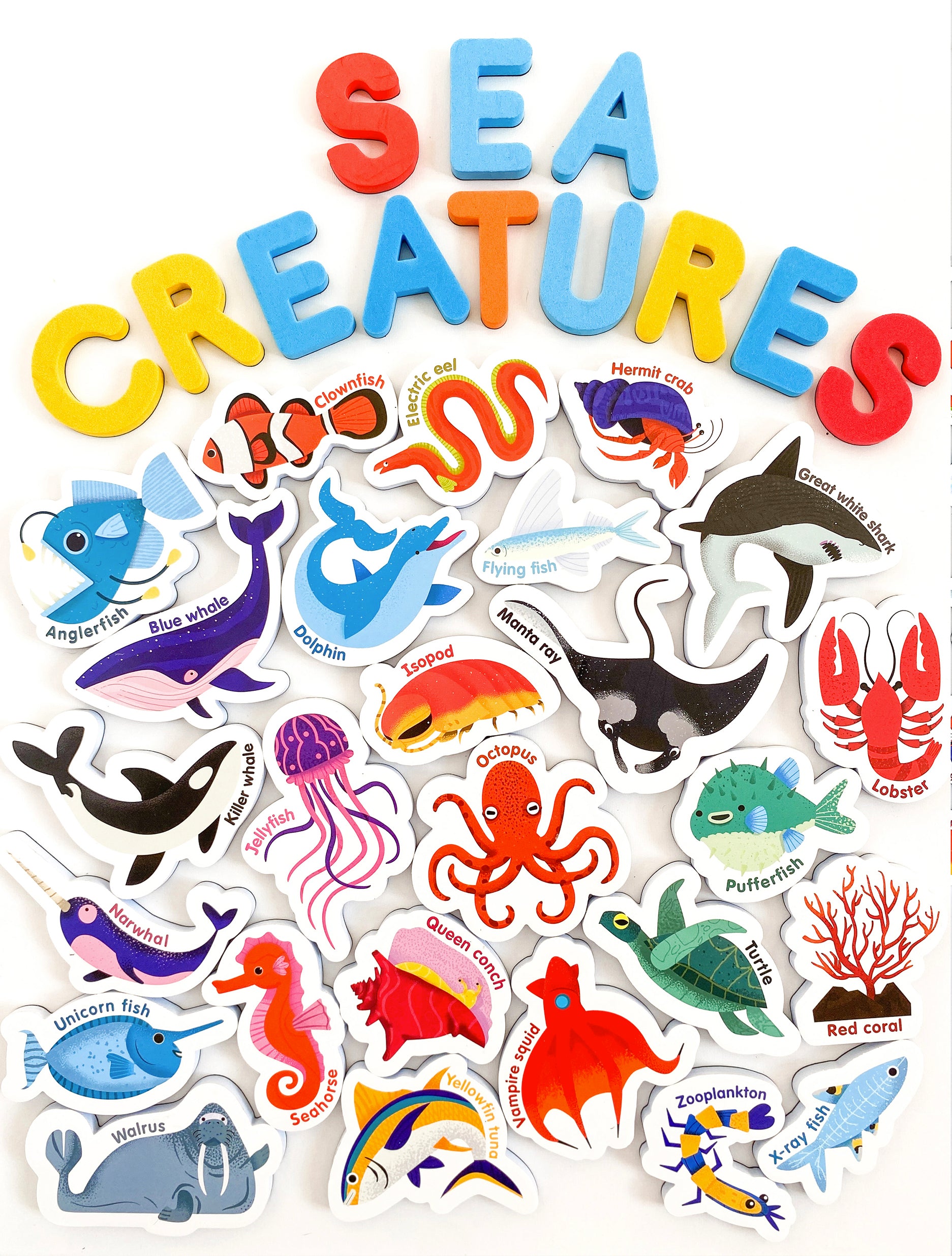 Curious Columbus Magnetic Sea Creatures and Letters – 52 Piece Alphabet &amp; Ocean Magnet Set